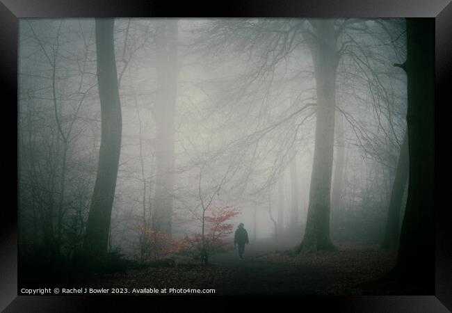 Winter Walker Framed Print by RJ Bowler