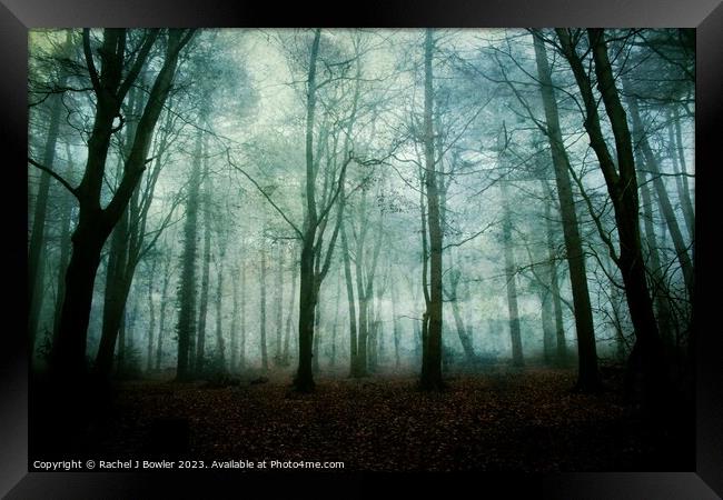 Dark and Misty Wood Framed Print by RJ Bowler