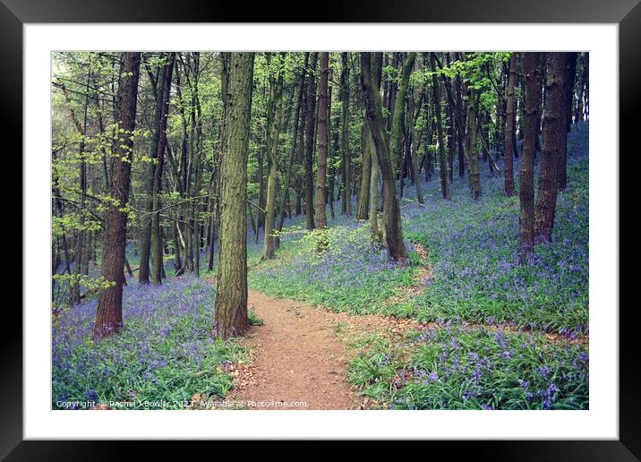 Bluebell Wood Framed Mounted Print by RJ Bowler