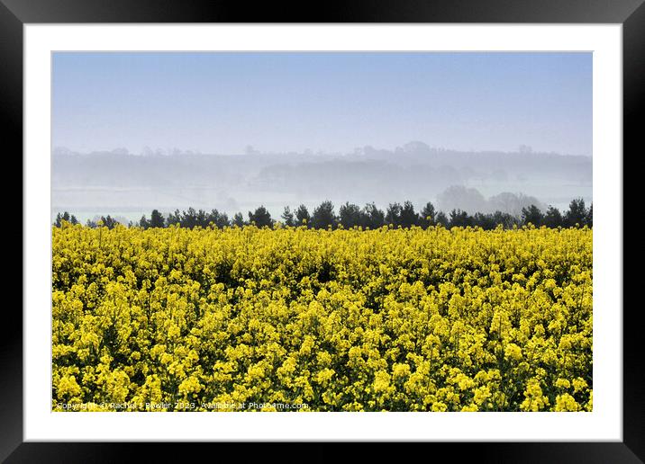 Blue to Yellow Framed Mounted Print by RJ Bowler