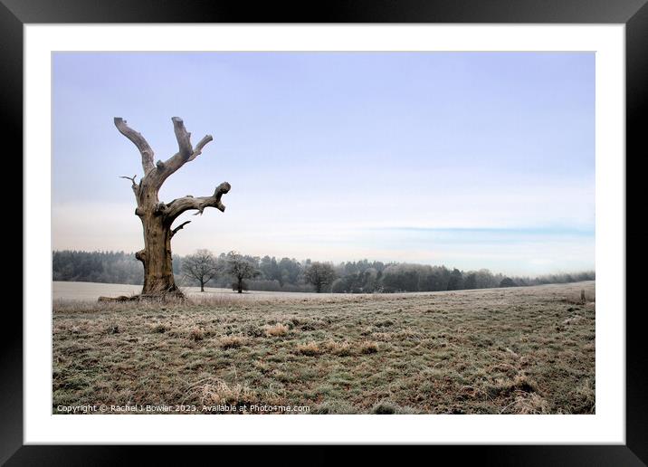 The Tree Framed Mounted Print by RJ Bowler