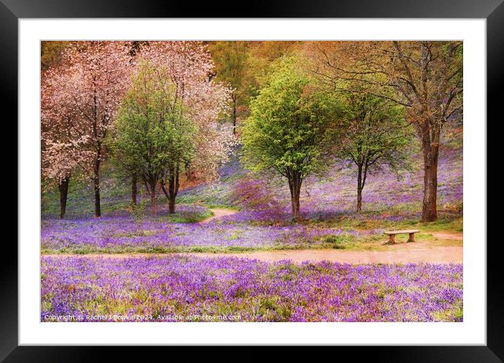 Blossom and Bluebells Framed Mounted Print by RJ Bowler