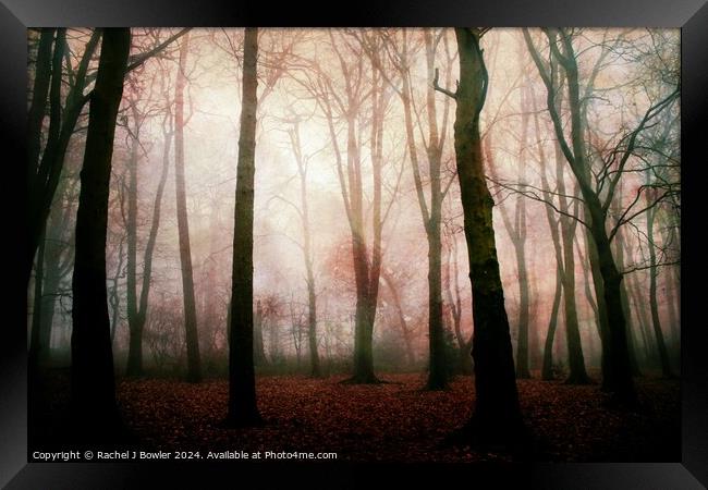 Dark Woods Framed Print by Rachel J Bowler