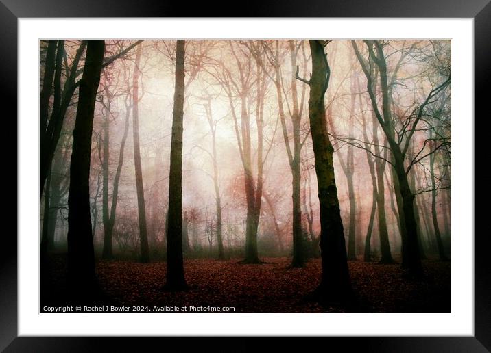 Dark Woods Framed Mounted Print by RJ Bowler