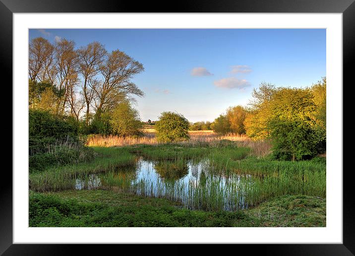 Motney Hill scenery. Framed Mounted Print by Andy Wickenden