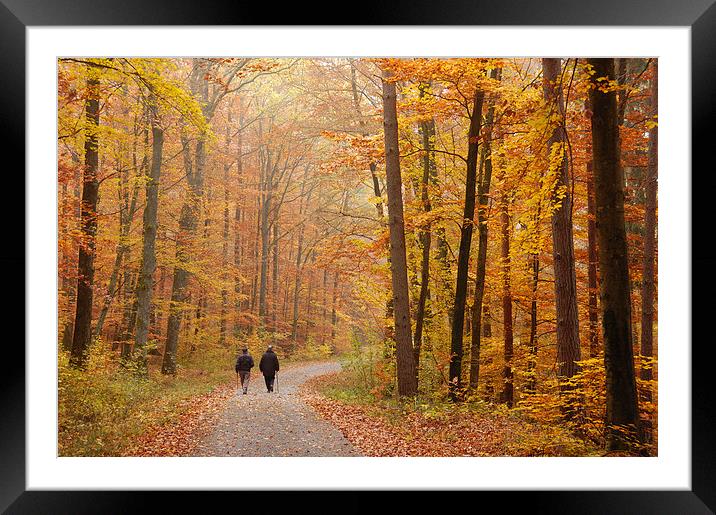Forest in autumn Schoenbuch Germany Framed Mounted Print by Matthias Hauser
