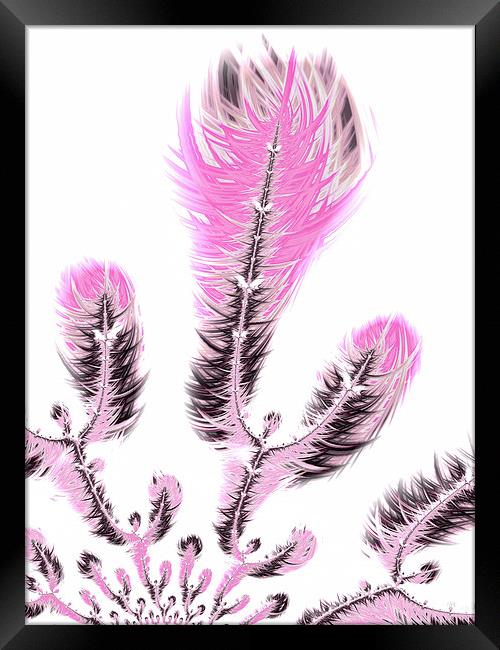 Pink fractal flower art Framed Print by Matthias Hauser