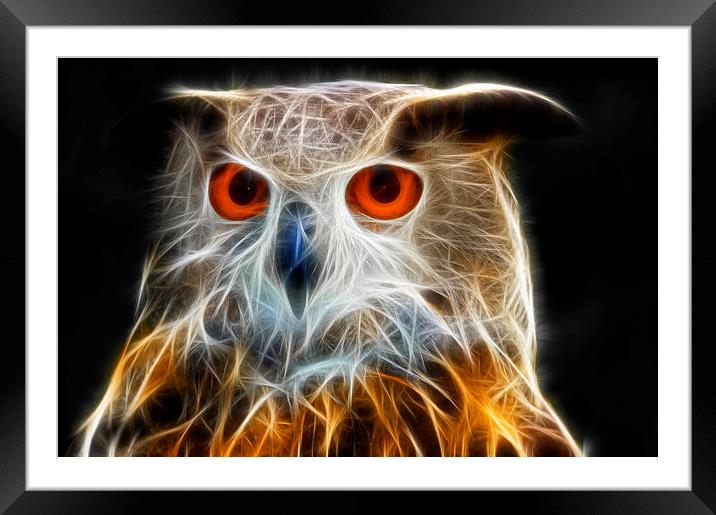 Owl fractal art Framed Mounted Print by Matthias Hauser