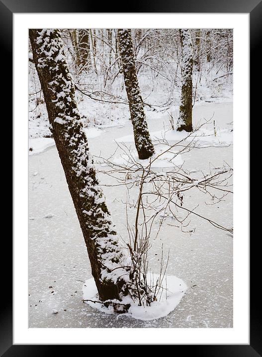 Snowy trees in frozen pond Framed Mounted Print by Matthias Hauser