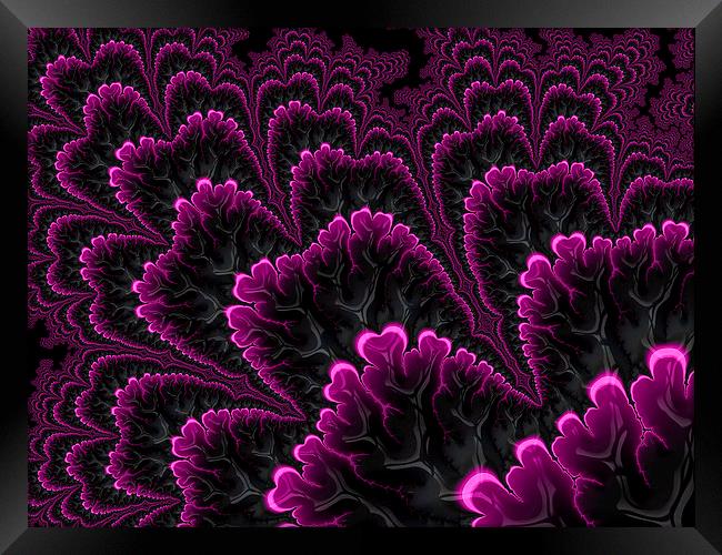 Dark pink and black abstract Framed Print by Matthias Hauser