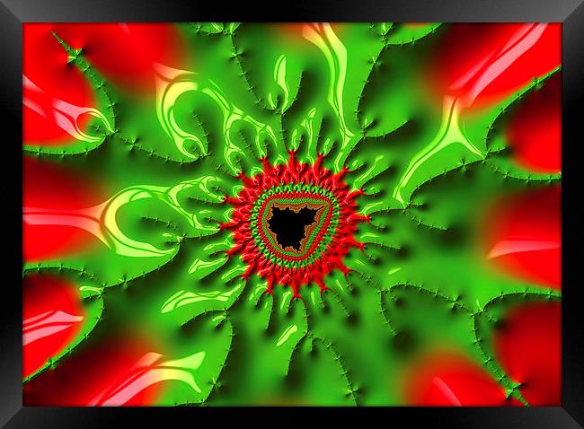 Abstract fractal art red and green Framed Print by Matthias Hauser