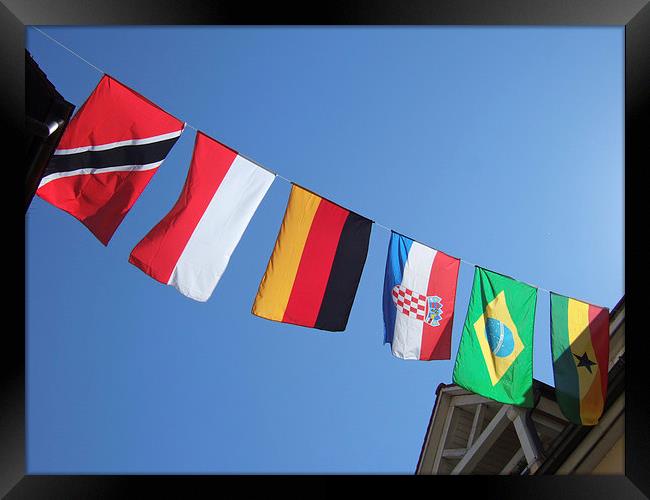  Flags of different countries Framed Print by Matthias Hauser