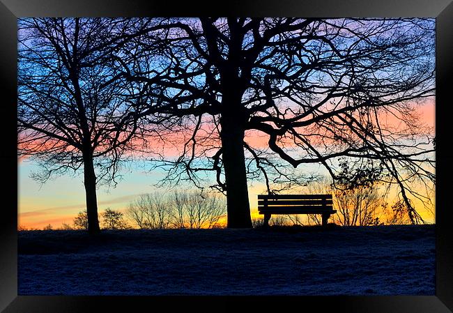 sunrise in the park Framed Print by claire norman