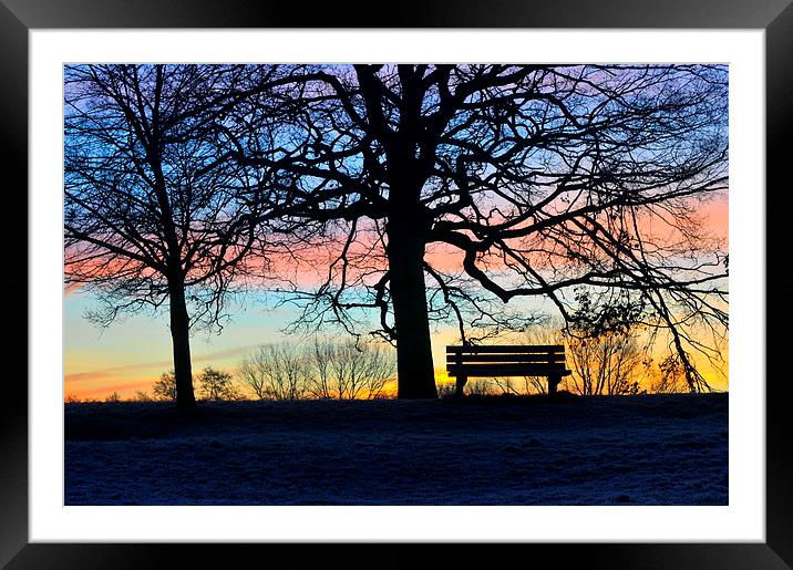 sunrise in the park Framed Mounted Print by claire norman