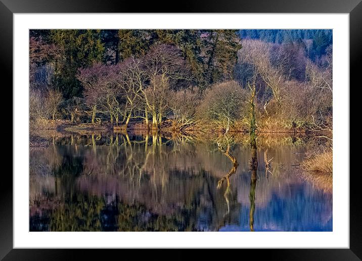 River Reflections Framed Mounted Print by Adrian Hargan