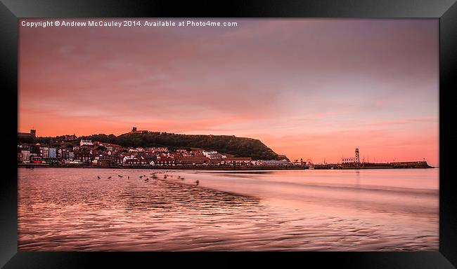  South Bay Sunset Framed Print by Andrew McCauley