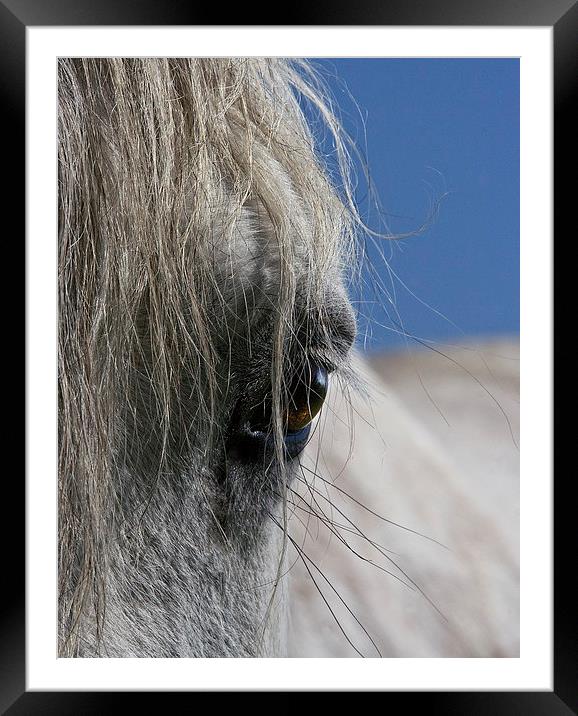 Pony Eye Framed Mounted Print by Nick Pound