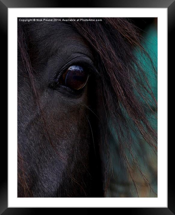 Fell Pony Eye Framed Mounted Print by Nick Pound