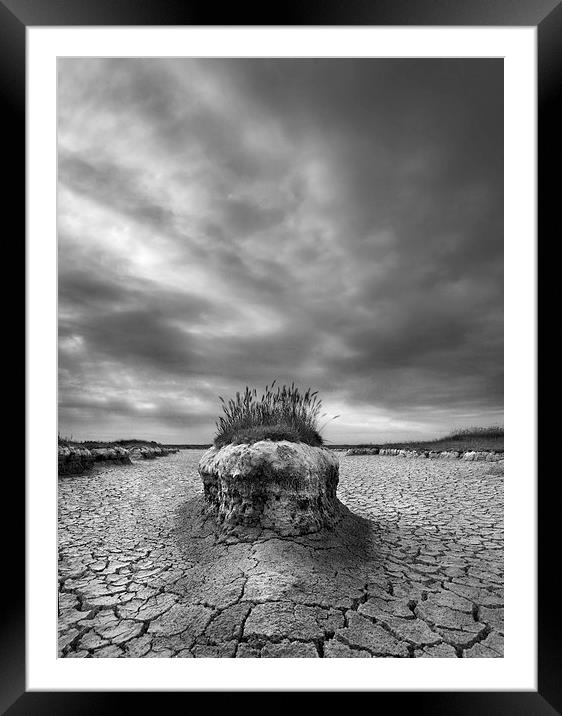 Island in the Mudflats Framed Mounted Print by Nick Pound