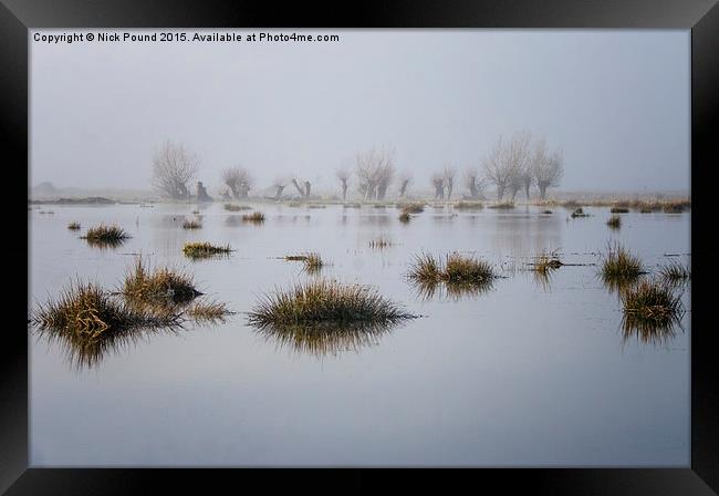 Wetland Willows  Framed Print by Nick Pound