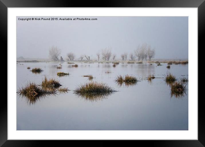 Wetland Willows  Framed Mounted Print by Nick Pound