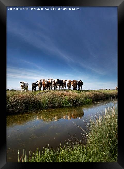 The Watchers on the Somerset Levels Framed Print by Nick Pound