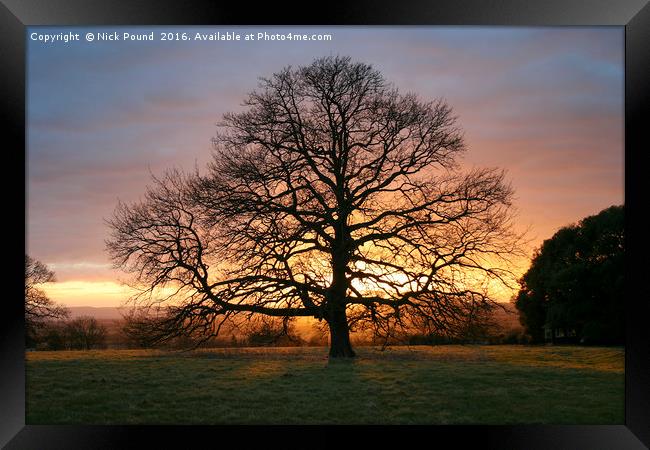 Tree and Winter Sunset Framed Print by Nick Pound