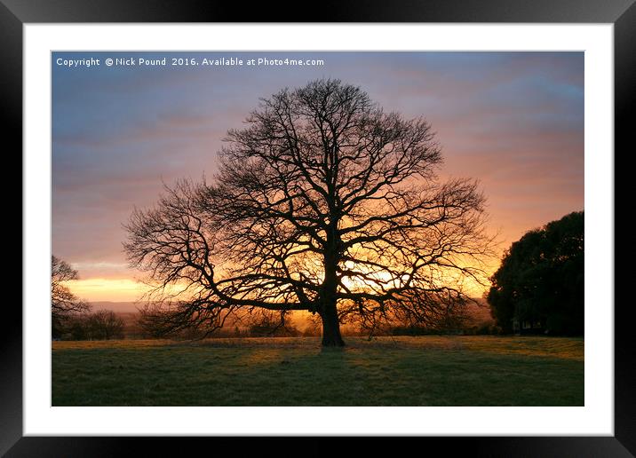 Tree and Winter Sunset Framed Mounted Print by Nick Pound