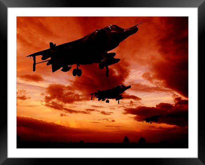 Harriers at sun rise Framed Mounted Print by sean clifford