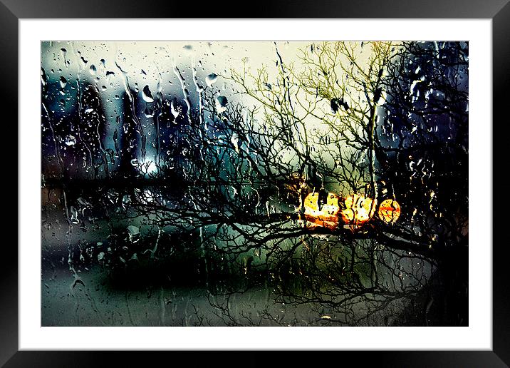 Raindrops Framed Mounted Print by Julia Whitnall