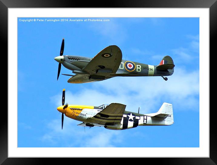 Two old friends in the sky Framed Mounted Print by Peter Farrington