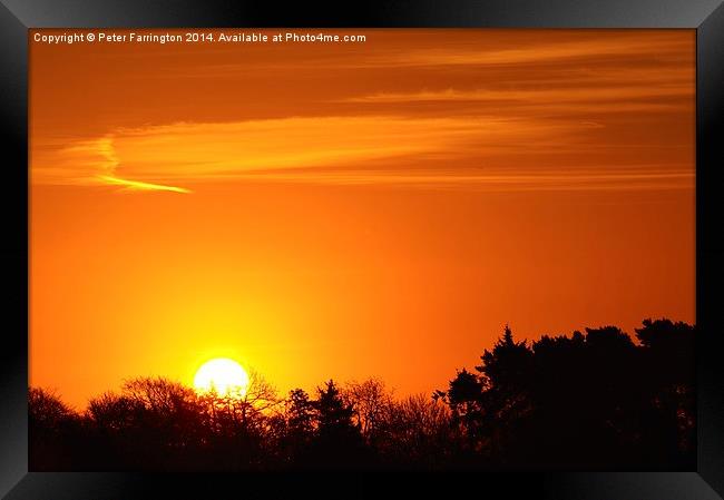  Sun Rise Over Wendover Woods Framed Print by Peter Farrington