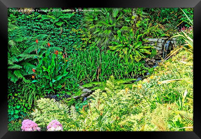  Colours of Cornwall's Great Gardens Framed Print by Peter Farrington
