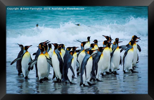 Party Of The Kings Framed Print by Peter Farrington