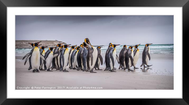 The Majestic Kings Going Fishing Framed Mounted Print by Peter Farrington