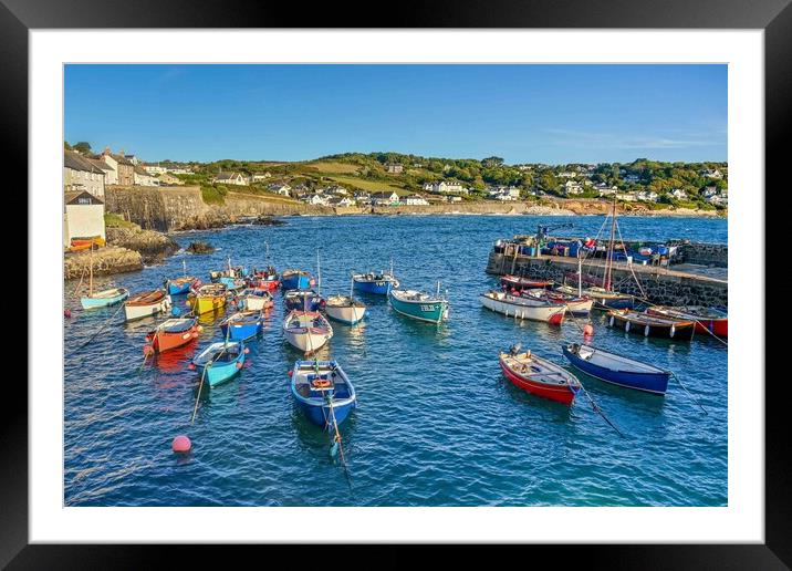 Coverack harbour on a summer morning  Framed Mounted Print by Shaun Jacobs