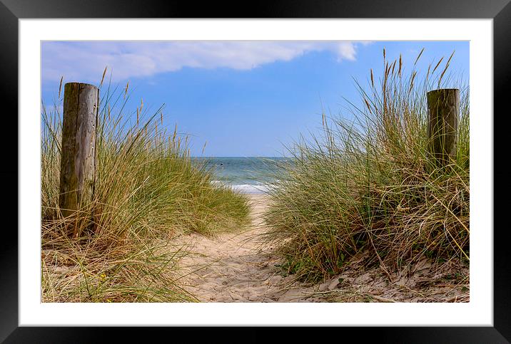 Pathway to the beach  Framed Mounted Print by Shaun Jacobs