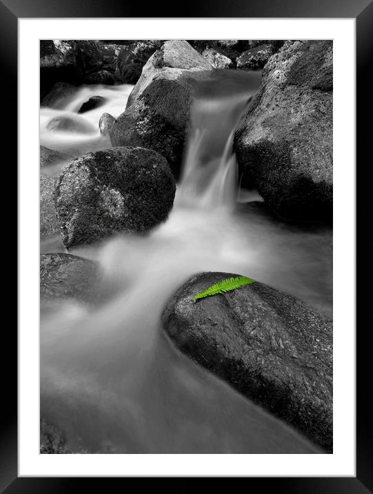 Waterfall with a single green leaf Framed Mounted Print by Shaun Jacobs