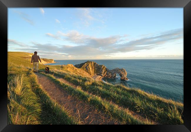 Dog walking along the cliff tops above Durdle Door Framed Print by Shaun Jacobs