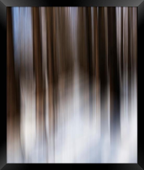 Motion blur  Framed Print by Shaun Jacobs