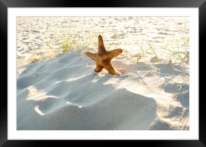 Starfish on a beach  Framed Mounted Print by Shaun Jacobs
