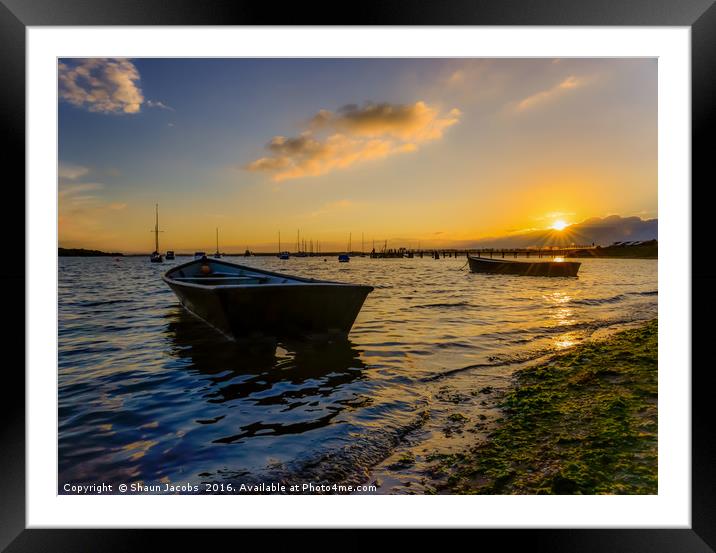 Sunset in Poole Harbour  Framed Mounted Print by Shaun Jacobs