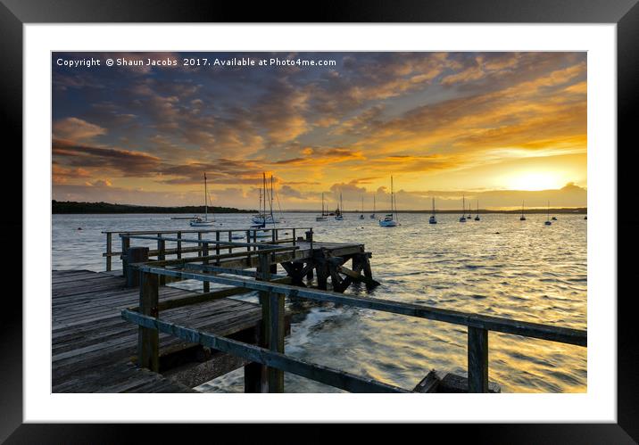 Lake pier in Hamworthy Dorset at sunset  Framed Mounted Print by Shaun Jacobs