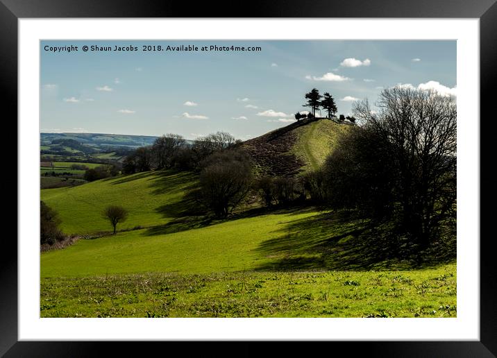 Colmers Hill shadows  Framed Mounted Print by Shaun Jacobs