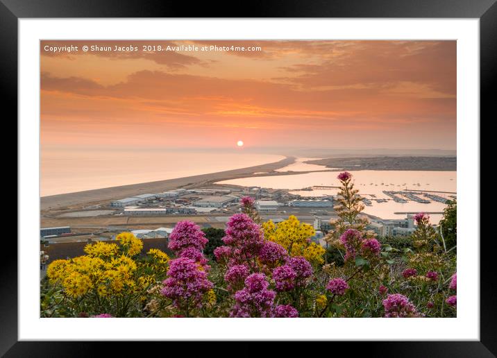 Chesil Beach sunset  Framed Mounted Print by Shaun Jacobs