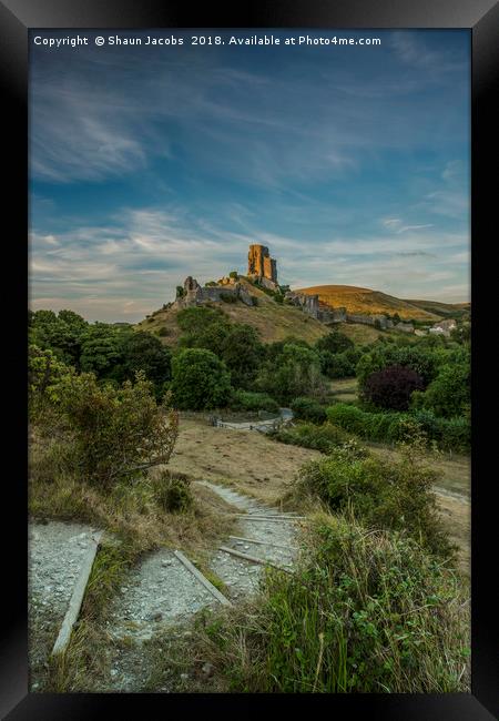 Sun kissed Corfe Castle  Framed Print by Shaun Jacobs