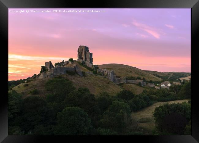 Sunset over Corfe Castle  Framed Print by Shaun Jacobs