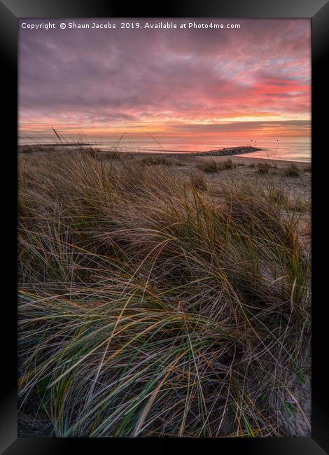 Sunrise over the sand dunes of Sandbanks  Framed Print by Shaun Jacobs