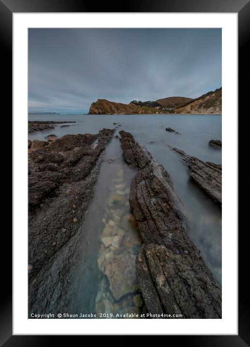 Lulworth cove ledges  Framed Mounted Print by Shaun Jacobs