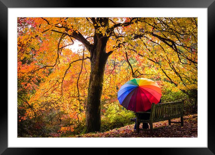 Autumn Colours in the Rain Framed Mounted Print by Kelvin Trundle